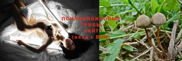 ешки Балахна
