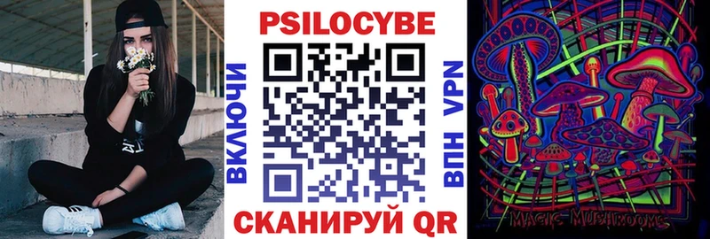 купить   Новосокольники  Псилоцибиновые грибы Magic Shrooms 