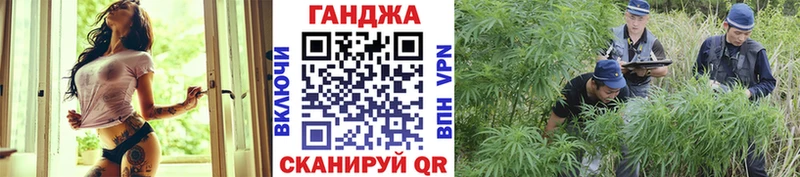 Канабис марихуана Новосокольники